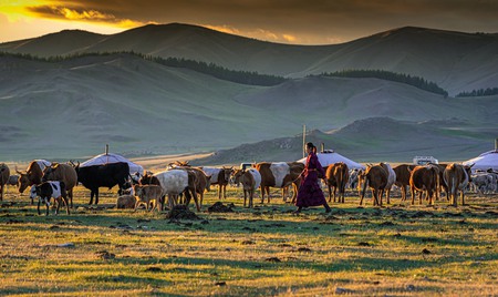 mongolsko obrázek11